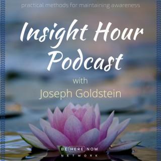 Insight Hour with Joseph Goldstein