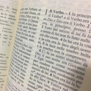 Interlineare - Gospel - Bible
