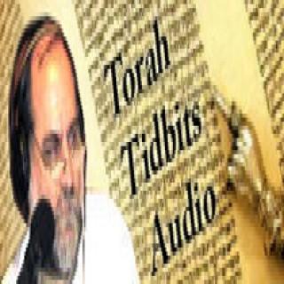 Israel National Radio - Torah Tidbits Audio