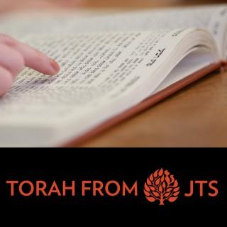 JTS Torah Commentary