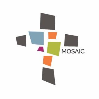 Mosaic - Conway
