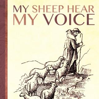 My Sheep Hear My Voice Audio