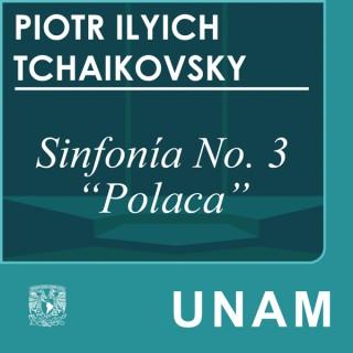 Sinfonía No. 3 "Polaca"