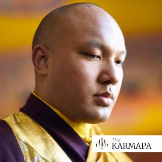 Selected Talks on Buddhism and Meditation by the Karmapa