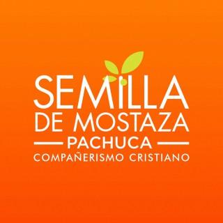 Semilla de Mostaza Pachuca