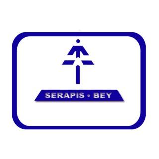 2019 Serapis Bey - La vida práctica del YO SOY