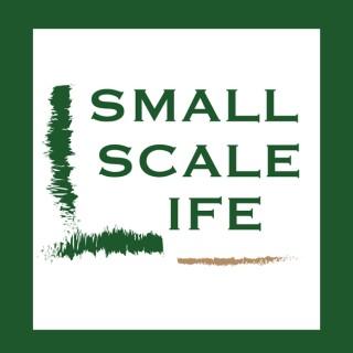 Small Scale Life