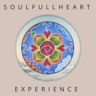 SoulFullHeart Experience