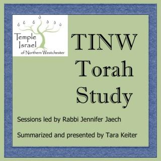 TINW Torah Study