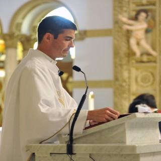 The Truth in Love:  Homilies & Reflections by Fr. Stephen Dardis