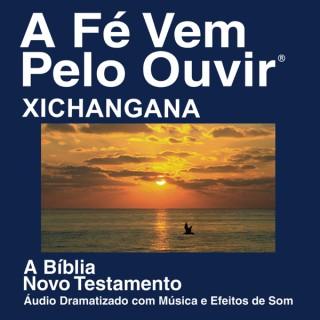 Xichangana Bíblia (dramatizada) - Xichangana Bible (Dramatized)
