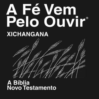 Xichangana Bíblia (Não dramatizada) - Xichangana Bible (Non-Dramatized)