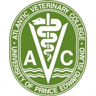AVC Veterinary Cardiology Rounds