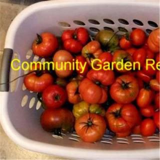 Community Garden Revolution