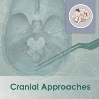 Cranial Approaches