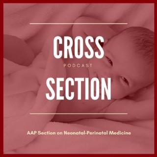 Cross Section (AAP Neonatal-Perinatal)