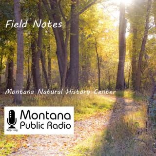 Field Notes from the Montana Natural History Center