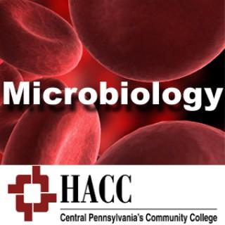 Immunology / Microbiology