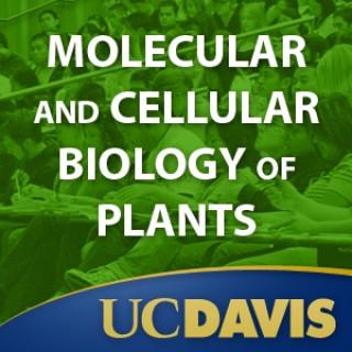 Molecular and Cellular Biology of Plants, Spring 2008