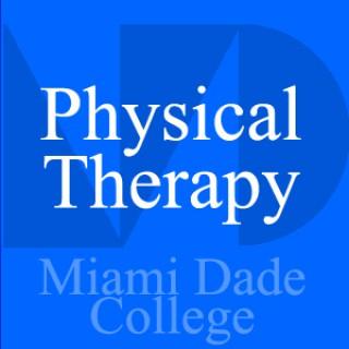 Physical Therapy - Beatriz Melendez - PHT 2224