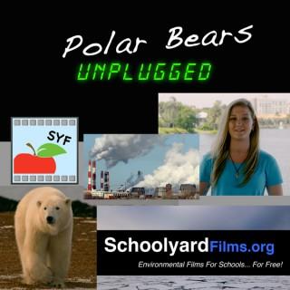 Polar Bears Unplugged