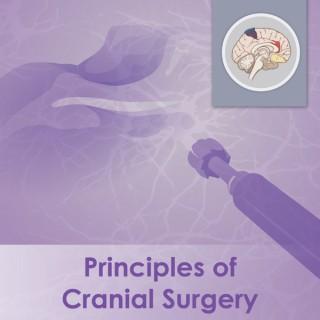 Principles of Cranial Surgery