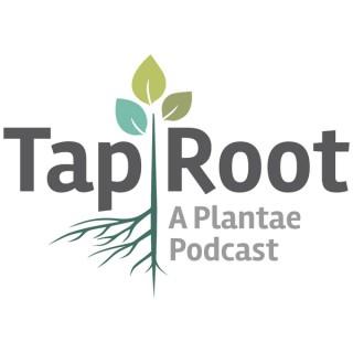 The Taproot