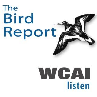 Weekly Bird Report on WCAI