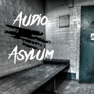 Audio Asylum