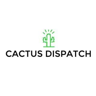 Cactus Dispatch by MBY