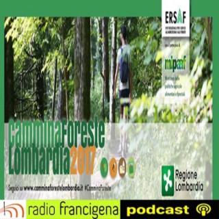 Cammina Foreste Lombardia 2017