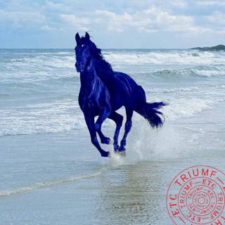 Den blå hästen