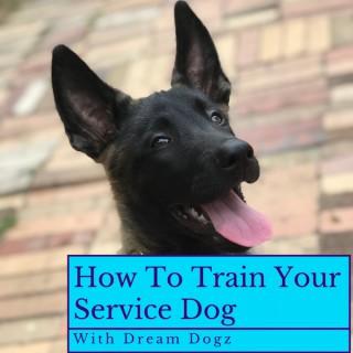 How To Train Your Service Dog (With Dream Dogz)