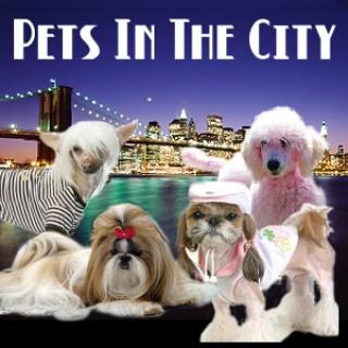 Pets In The City - New York City Pets & Animals - Pets & Animals on Pet Life Radio (PetLifeRadio.com)