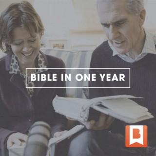 Bible in One Year