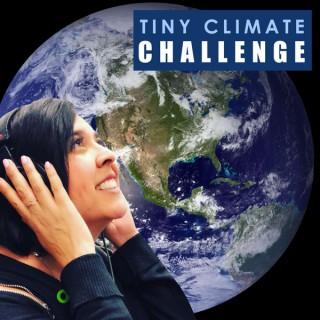Tiny Climate Challenge