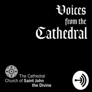 Voices from the Cathedral