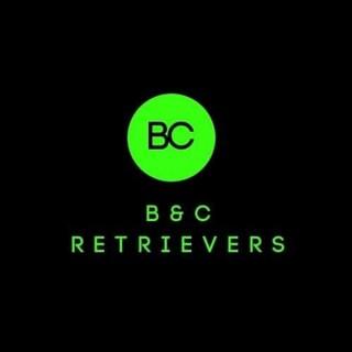 BC Retrievers