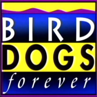 Bird Dogs Forever