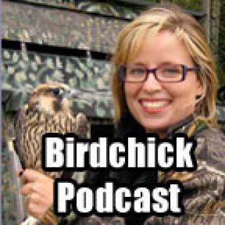 Birdchick Podcast