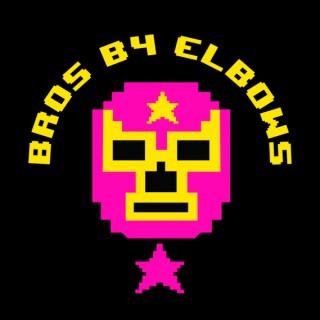 Bros B4 Elbows Pro Wrestling Show