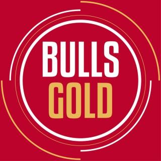 Bulls Gold: Chicago Bulls Podcast