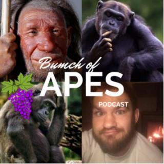 Bunch of Apes Podcast