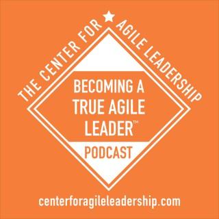Becoming A True Agile Leader(tm)