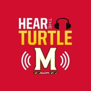 Hear The Turtle