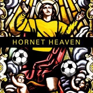 Hornet Heaven