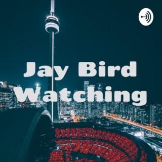 Jay Bird Watching