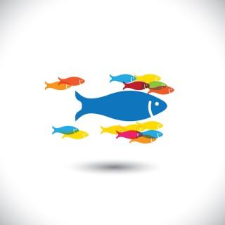 Big Fish in the Talent Pool
