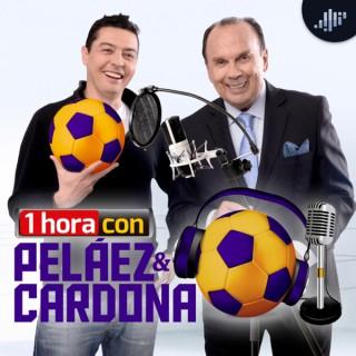 Peláez y Cardona | PIA Podcast