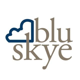 Blu Skye: sustainability, environment, and leadership